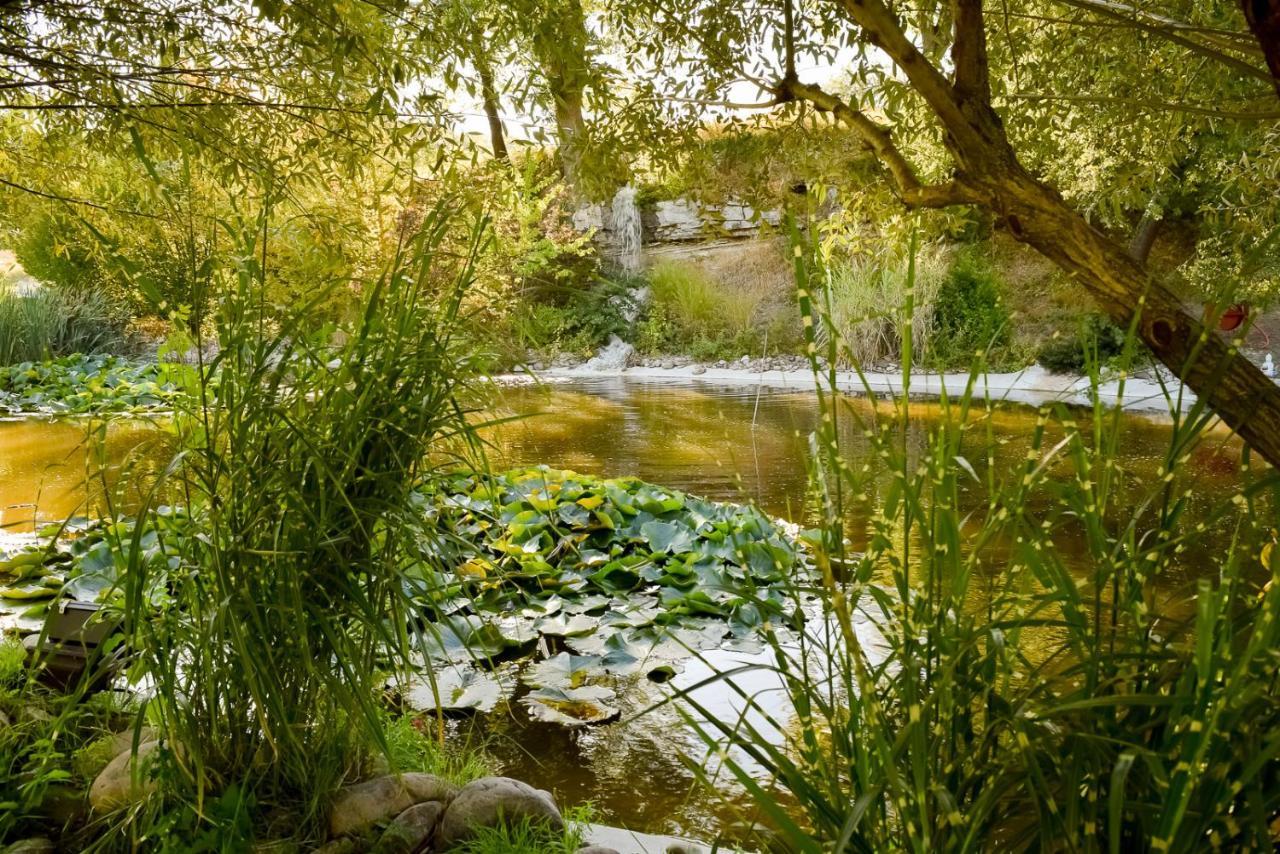 La Campagne St Lazare - Restaurant Chambres D'Hotes Piscine & Spa Forcalquier Exterior photo